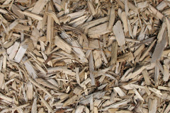 biomass boilers Ardinamir